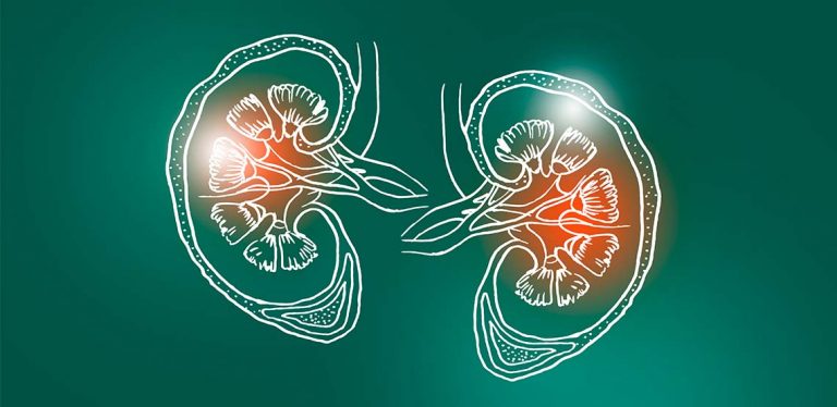 A pair of illustrated kidneys against a green background.